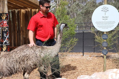 Blue Mountains Nature And Wildlife Day Tour From Sydney - Restaurant Canberra 5