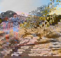 Kings Canyon Day Trip from Ayers Rock Uluru - Restaurant Canberra
