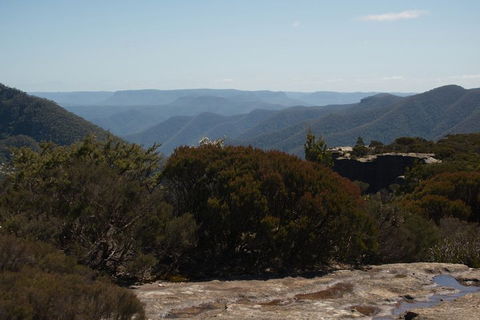 The Explorers' Discovery Tour - Gold, Wine & Wildlife - Restaurant Canberra 3
