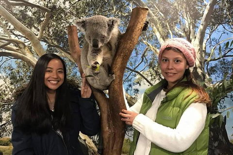 The Ultimate Sydney Attractions Pass - Restaurant Canberra 1