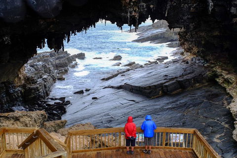Full-Day Kangaroo Island Safari From Penneshaw - Restaurant Canberra 1