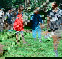 Let's Go Buggin  Let's Go Shroomin - Photography  Nature Walking Tours - Restaurant Canberra