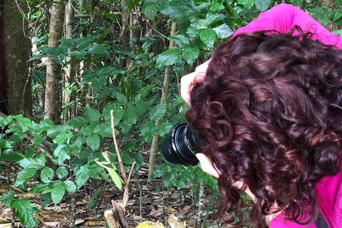 Let's Go Buggin & Let's Go Shroomin - Photography & Nature Walking Tours - Restaurant Canberra 1
