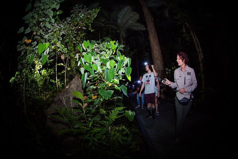 Let's Go Buggin & Let's Go Shroomin - Photography & Nature Walking Tours - Restaurant Canberra 4