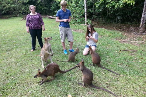 Small Group Blue Mountains Day Tour From Sydney - Restaurant Canberra 2