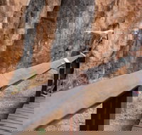 Chillagoe Caves and Outback Day Trip from Cairns - Restaurant Canberra