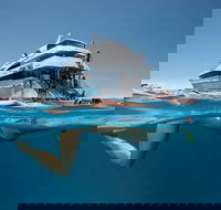 3 Day Great Barrier Reef Daintree Rainforest and Outback Chillagoe Tour - Restaurant Canberra