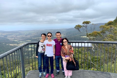 Southern Highlands & South Coast Private Tour From Sydney - Restaurant Canberra 2