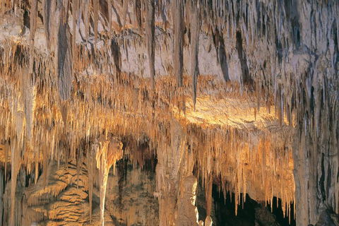 Margaret River, Caves, Wine And Cape Leeuwin Lighthouse Tour From Perth - Restaurant Canberra 3