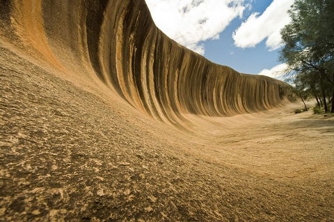 Wave Rock, York, Wildflowers, And Aboriginal Cultural Day Tour From Perth - Restaurant Canberra 0