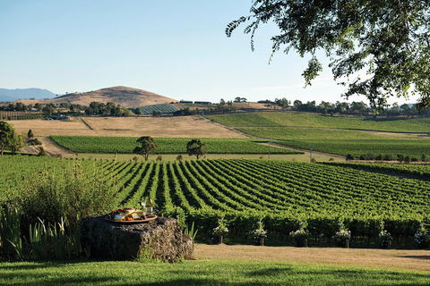 Small Group 6 Guests: Ultimate Yarra Valley Food And Wine - Mercedes Van - Restaurant Canberra 4