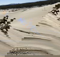 Port Stephens Bush Beach and Sand Dune 4WD Tag-Along Tour - Restaurant Canberra