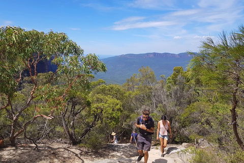 Blue Mountains Unique Small-Group Day Adventure With BBQ Lunch - Restaurant Canberra 3