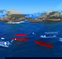 3-Hour Byron Bay Certified Scuba Diving Tour - Restaurant Canberra
