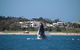 Byron Bay Whale Watching Cruise - thumb 3
