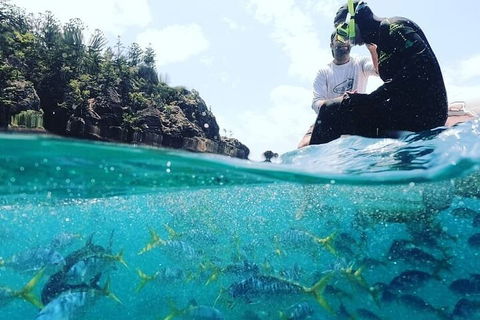 2 Night Small Group Whitsundays Sailing Adventure Aboard Mandrake - Restaurant Canberra 5
