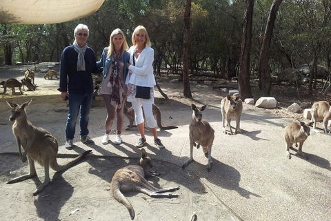 Private Scenic Day Trip From Sydney For Families And Friends - Restaurant Canberra 1