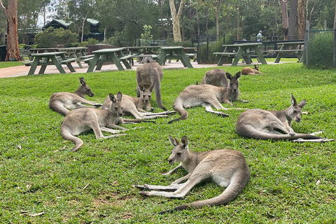 Private Scenic Day Trip From Sydney For Families And Friends - Restaurant Canberra 4