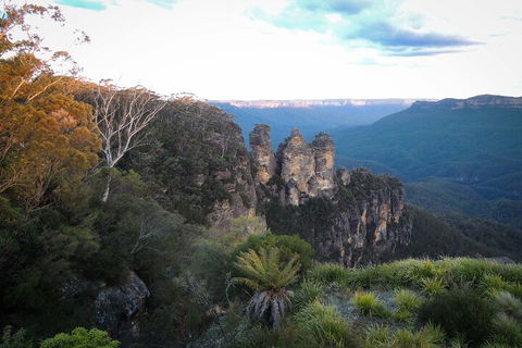 Blue Mountains Small Group Tour - Restaurant Canberra 4