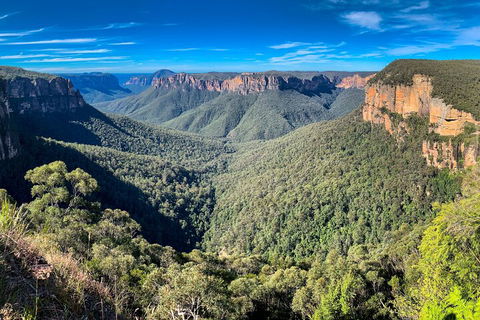 Blue Mountains Small Group Tour - Restaurant Canberra 5