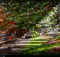 Fully Inclusive Blue Mountains Private Tour inc Scenic World  Featherdale entry - Restaurant Canberra