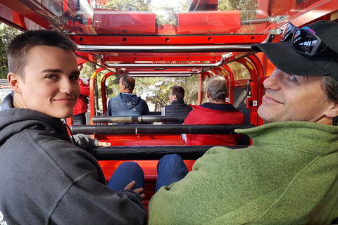 Fully Inclusive Blue Mountains Private Tour Inc Scenic World & Featherdale Entry - Restaurant Canberra 1