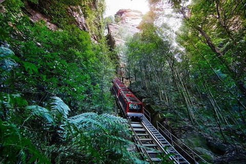 Fully Inclusive Blue Mountains Private Tour Inc Scenic World & Featherdale Entry - Restaurant Canberra 4