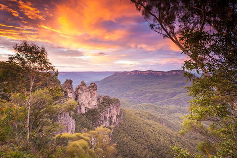 Fully Inclusive Blue Mountains Private Tour Inc Scenic World & Featherdale Entry - Restaurant Canberra 5