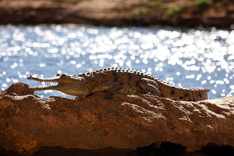 Windjana Explorer - Restaurant Canberra 5