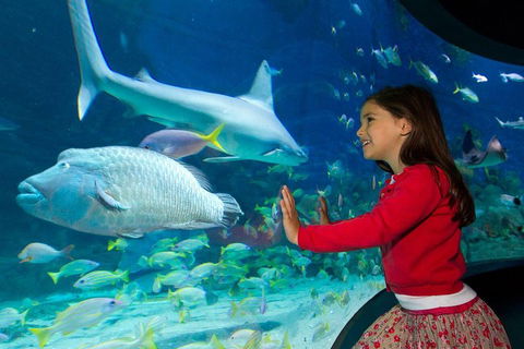 SEA LIFE Melbourne Aquarium Admission Ticket - Restaurant Canberra 1