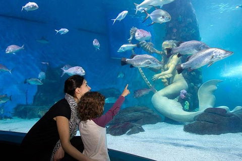 SEA LIFE Melbourne Aquarium Admission Ticket - Restaurant Canberra 4