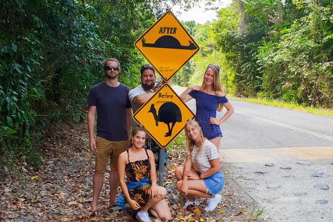 Cape Tribulation, Daintree Rainforest And Wildlife Tour - Restaurant Canberra 0
