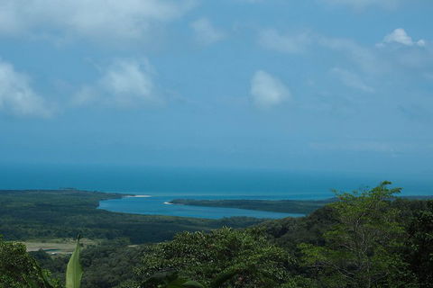 Cape Tribulation, Daintree Rainforest And Wildlife Tour - Restaurant Canberra 1