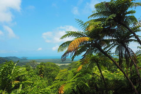 Cape Tribulation, Daintree Rainforest And Wildlife Tour - Restaurant Canberra 3