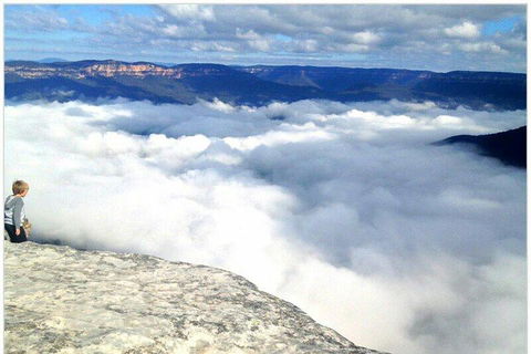 Small-Group Blue Mountains Day Trip From Sydney With Wildlife Park - Restaurant Canberra 3
