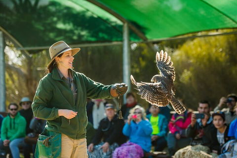 Full Day Kangaroo Island Sip And See Tour Departing From Kangaroo Island - Restaurant Canberra 1
