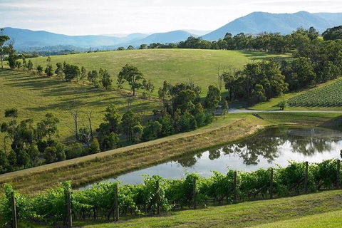Yarra Valley Wine And Cider Tours By Classic Convertibles From Melbourne - Restaurant Canberra 1