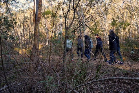 Wild Australian Wildlife 4WD Tour From Sydney - Restaurant Canberra 0