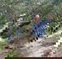 Small-Group Blue Mountains Tour with Bush Walks and Featherdale Wildlife Park - Restaurant Canberra
