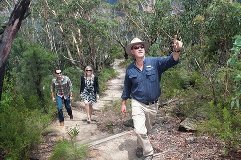 Small-Group Blue Mountains Tour With Bush Walks And Featherdale Wildlife Park - Restaurant Canberra 0