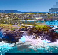 Sydney Wine Tour  Wine Waves  Wildlife in South Coast - Restaurant Canberra