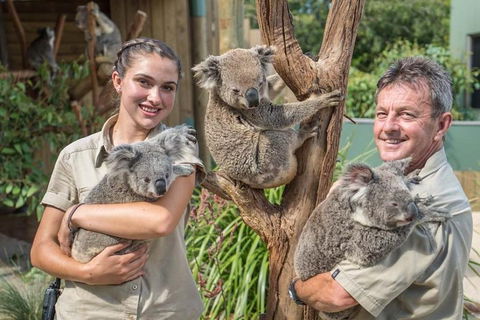 Sydney Wine Tour â€“ Wine, Waves & Wildlife In South Coast - Restaurant Canberra 2