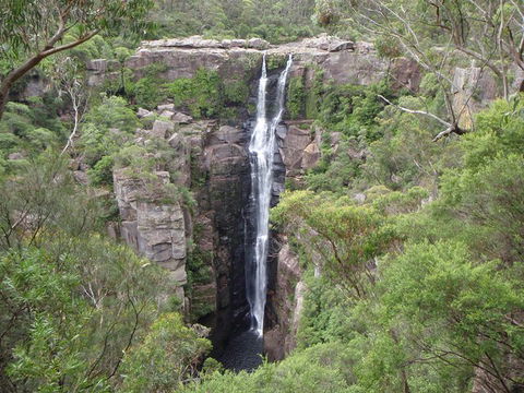 Sydney Wine Tour â€“ Wine, Waves & Wildlife In South Coast - Restaurant Canberra 3