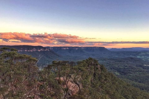 Blue Mountains Sunset Tour | Kangaroos & Koala Encounter (Private Tour) - Restaurant Canberra 0