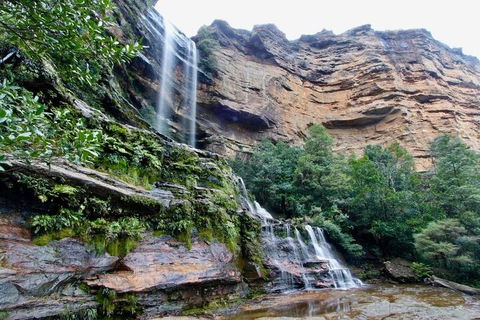Blue Mountains Sunset Tour | Kangaroos & Koala Encounter (Private Tour) - Restaurant Canberra 2