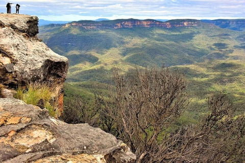 Blue Mountains Sunset Tour | Kangaroos & Koala Encounter (Private Tour) - Restaurant Canberra 4