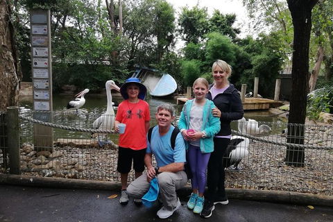 Blue Mountains Private Tour With Kangaroos & Koala Encounter - Restaurant Canberra 4