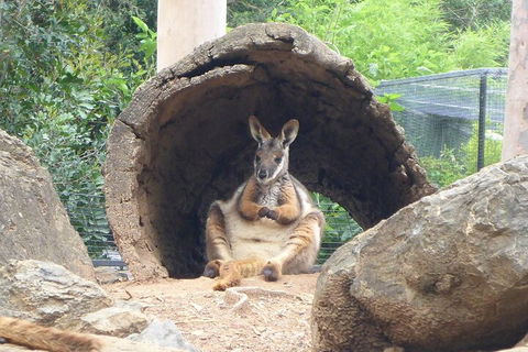 Featherdale Wildlife Park General Admission - Restaurant Canberra 2