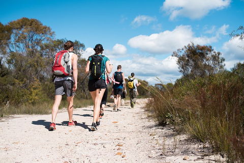 Pittwater Discovery Kayaking Tour - Restaurant Canberra 0