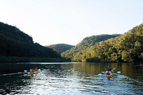 Pittwater Discovery Kayaking Tour - Restaurant Canberra 1
